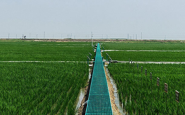 石英砂的質(zhì)量好壞如何辨別？